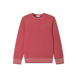 吉犬旺新禧，Lacoste針織相伴迎新春